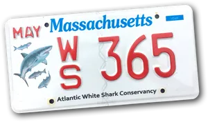 Massachusetts Shark Conservancy License Plate PNG Image