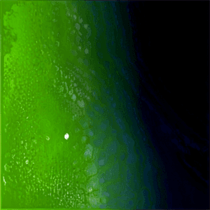 Matte Green Gradient Background PNG ejb PNG with transparent background