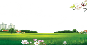 Meadow Transparent Background PNG image with transparent background