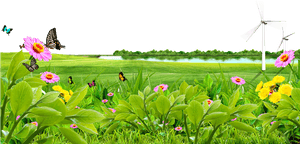 Meadow PNG Transparent Image PNG image with transparent background