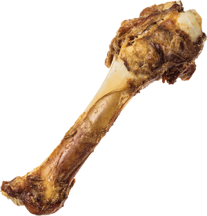 Meaty Bone Isolatedon Background PNG image with transparent background