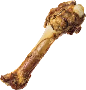 Meaty Bone Isolatedon Background PNG Image