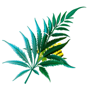 Medicinal Cannabis PNG 56 PNG image with transparent background
