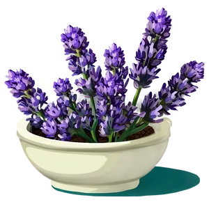 Medicinal Lavender Plant Png Jcx PNG Image