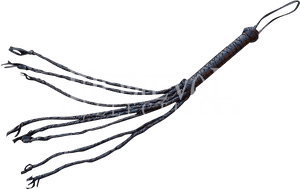 I Used This Image In My Box Because This Was One Of - Whips They Used In Slavery, HD Png Download PNG image with transparent background