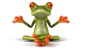 Frog Png Transparent Image - Zen Frog, Png Download PNG image with transparent background