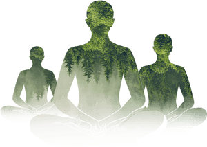 International Day Of Yoga - International Yoga Day Heartfulness, HD Png Download PNG image with transparent background