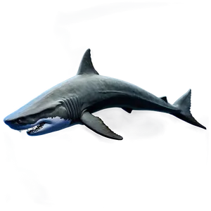 Megalodon Fossil Png Lwh36 PNG Image