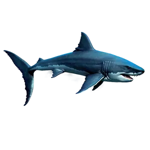 Megalodon In Ocean Background Png 33 PNG Image