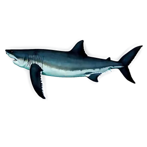 Megalodon Side View Png Nbx12 PNG Image