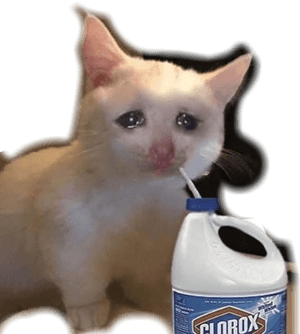 #meme #cat #sad #vaporwave #aesthetic - Sad Cat Meme, HD Png Download PNG image with transparent background