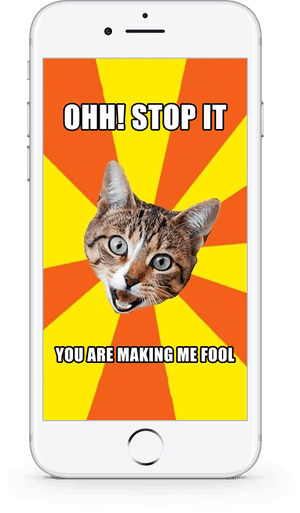 Meme Maker Developed By Digi Tech Lab - Pussy Cat Good Morning, HD Png Download PNG image with transparent background