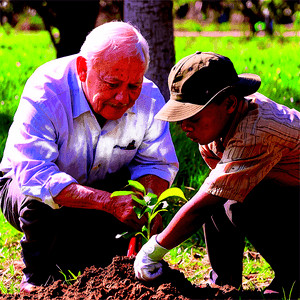 Memorial Tree Planting PNG yem69 PNG with transparent background