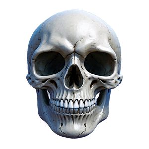 Menacing Skull PNG pjx89 PNG with transparent background