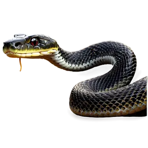 Menacing Snake Png 85 PNG Image