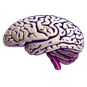 Mental Health Brain Outline Png 46 PNG Image