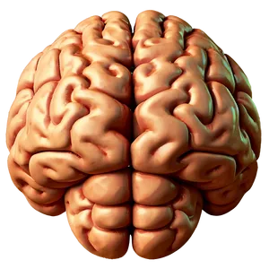 Mental Strength Brain Emoji Png 06132024 PNG Image