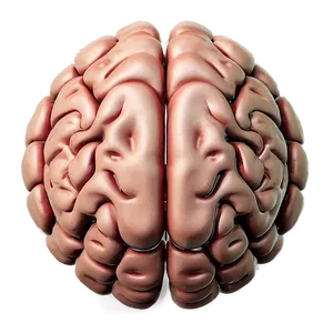 Mental Strength Brain Emoji Png 06132024 PNG Image