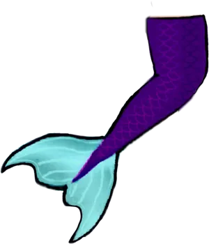 Mermaid Tail Illustration PNG Image