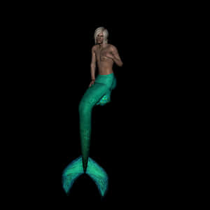 Merman_ Fantasy_ Creature PNG image with transparent background