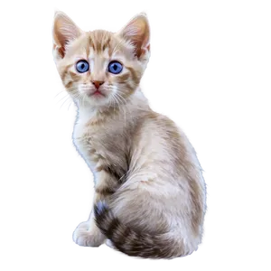 Mesmerizing Kitten Png Gmr72 PNG Image