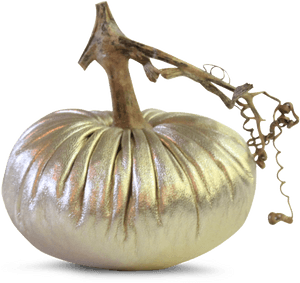 'Data Image Id='15285485318'Class='productimg - Pumpkin, HD Png Download PNG