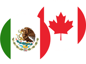 Transparent Mexican Flag Waving Png - Mexico Flag Map Icon Png, Png Download PNG image with transparent background