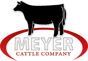 Meyer Cattle - Cattle Company, HD Png Download PNG with transparent background