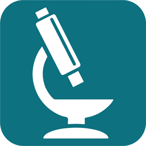 Emblem, HD Png Download PNG image with transparent background