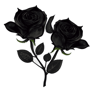 Midnight Black Roses PNG 61 PNG