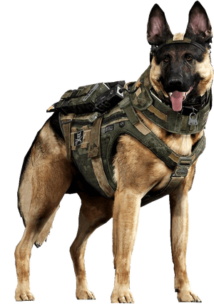 Military German Shepherd, HD Png Download PNG image with transparent background