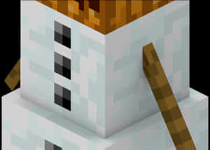 Minecraft_ Snow_ Golem_ Pumpkin_ Head_ Detail PNG image with transparent background