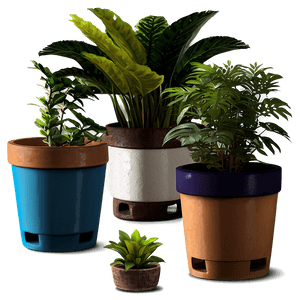 Mini Potted Plants Assortment PNG 06122024 PNG