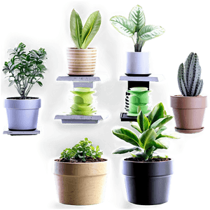 Mini Potted Plants Assortment PNG 9 PNG