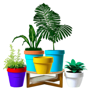 Mini Potted Plants Assortment PNG lqr PNG