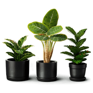 Mini Potted Plants Assortment PNG wai70 PNG