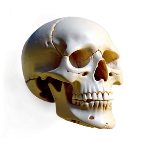 Minimal Skull Icon Png Hbp69 PNG Image