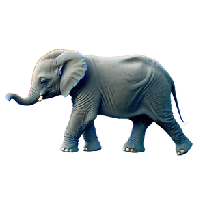 Minimalist Baby Elephant Png Auu56 PNG Image