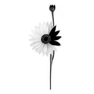 Minimalist Black And White Flower Png 05252024 PNG Image