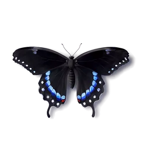 Minimalist Black Butterfly Png Vpr PNG Image