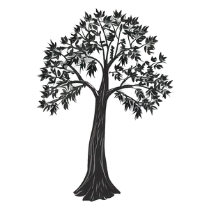 Minimalist Black Tree Png Sxe87 PNG Image