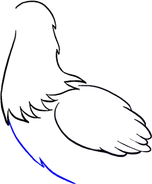 Minimalist Eagle Wing Drawing PNG Image