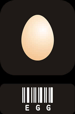 Minimalist Egg Design PNG with transparent background