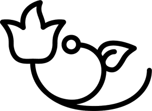 Transparent Flower Outline Png - Flower Design In Outline, Png Download PNG image with transparent background