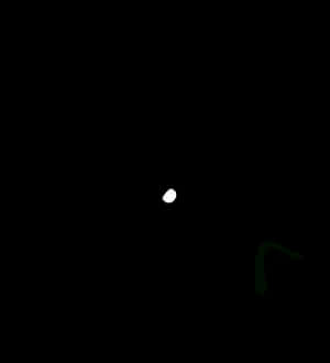 Minimalist Frogin Darkness PNG image with transparent background