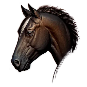 Minimalist Horse Head Icon Png 28 PNG Image