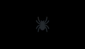 Minimalist Spider Iconon Black Background PNG image with transparent background