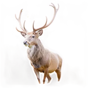 Minimalist Stag Sketch Png Odr69 PNG Image