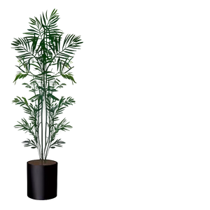 Minimalist Tall Plant Png 06282024 PNG Image