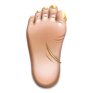 Minimalist Toes Png 06132024 PNG Image